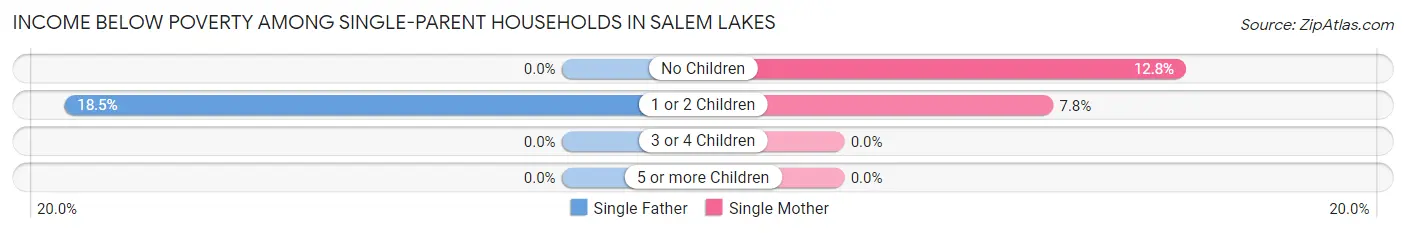 Income Below Poverty Among Single-Parent Households in Salem Lakes