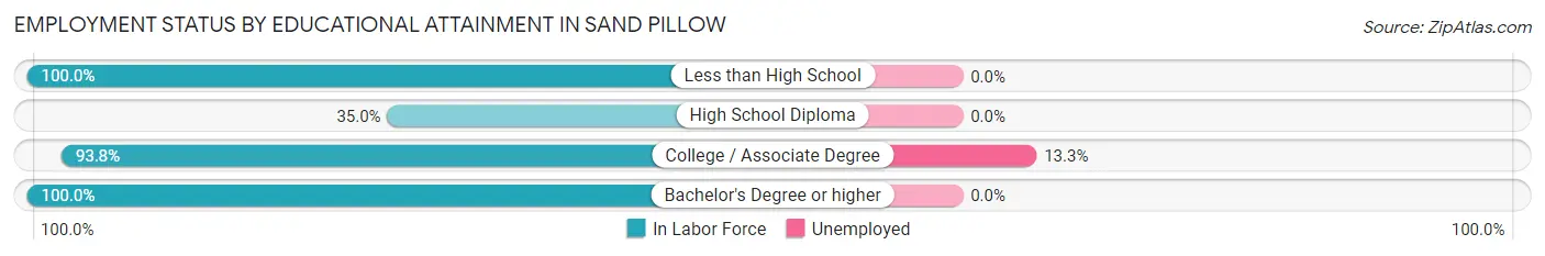 Employment Status by Educational Attainment in Sand Pillow