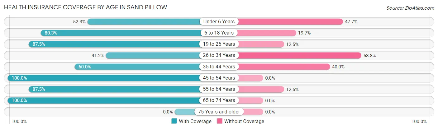 Health Insurance Coverage by Age in Sand Pillow