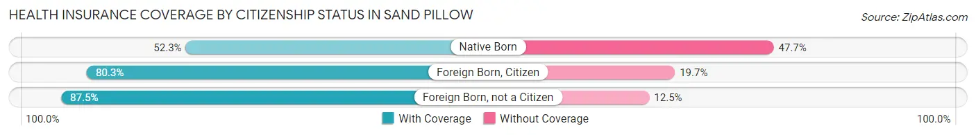Health Insurance Coverage by Citizenship Status in Sand Pillow