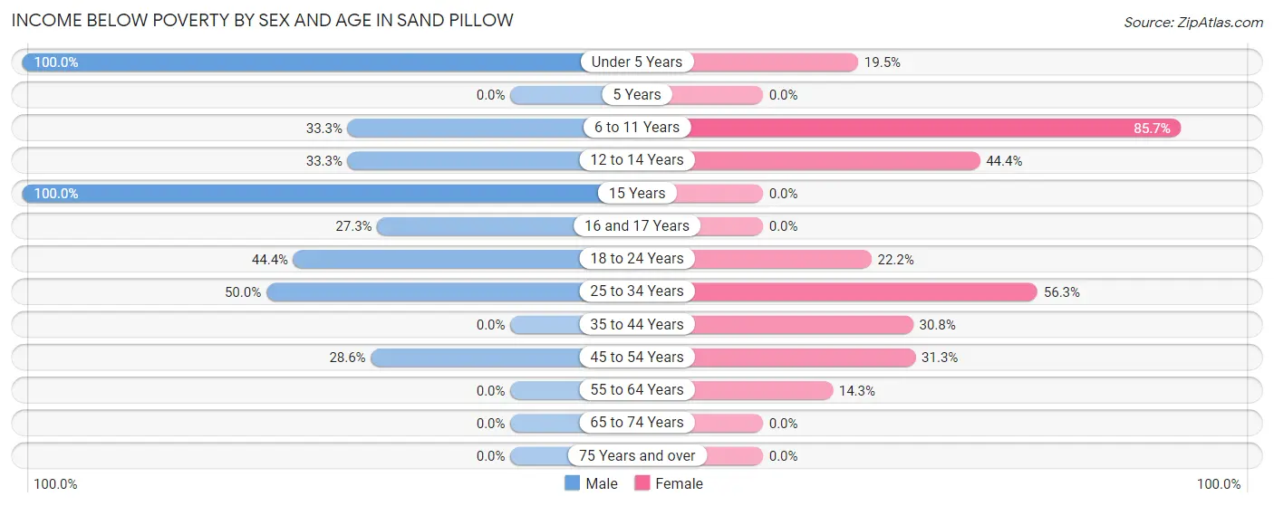 Income Below Poverty by Sex and Age in Sand Pillow