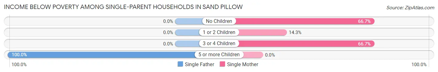 Income Below Poverty Among Single-Parent Households in Sand Pillow
