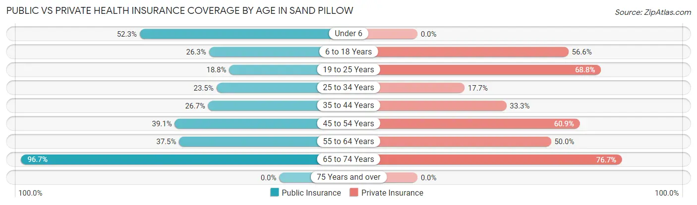 Public vs Private Health Insurance Coverage by Age in Sand Pillow