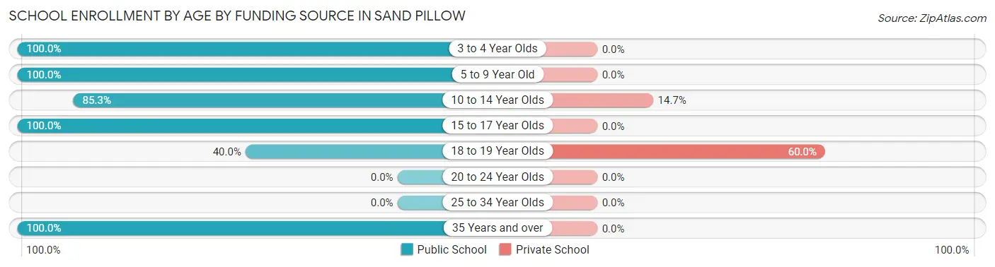 School Enrollment by Age by Funding Source in Sand Pillow