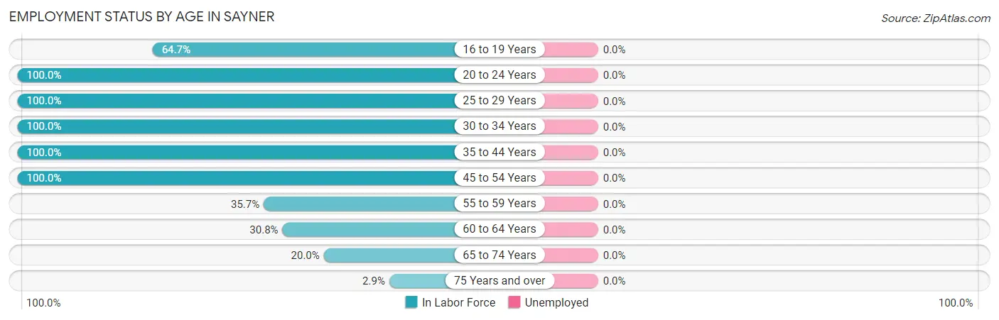 Employment Status by Age in Sayner