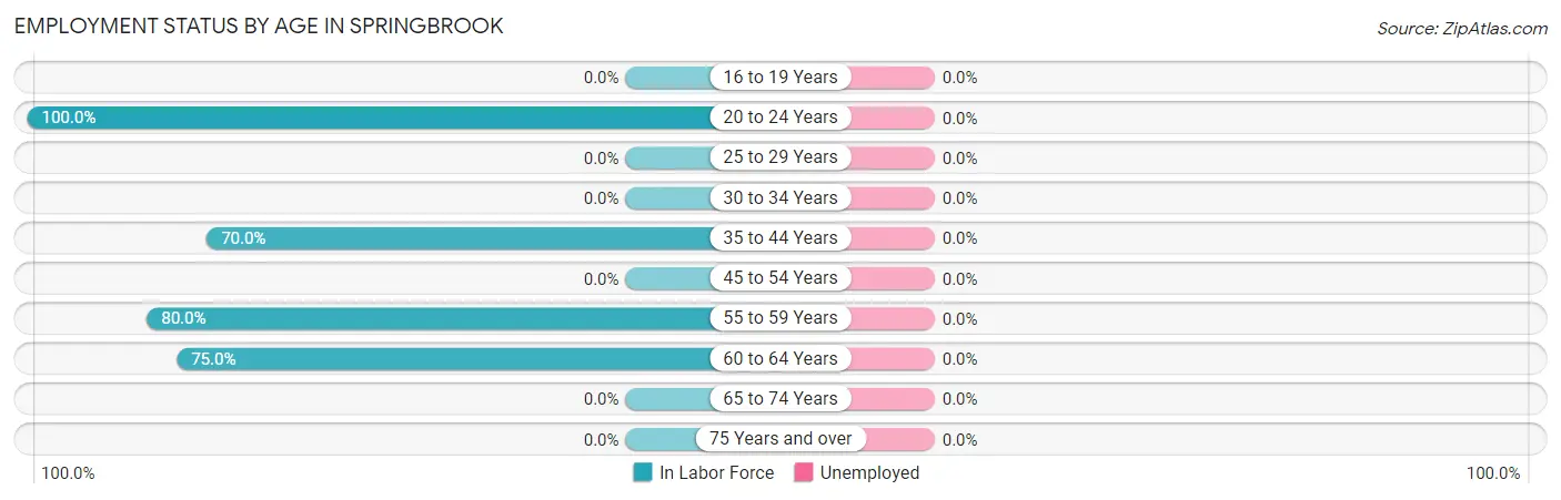 Employment Status by Age in Springbrook