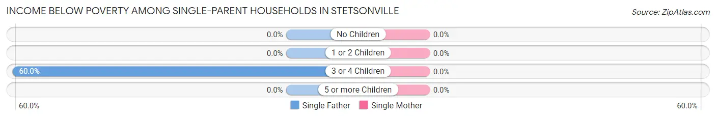 Income Below Poverty Among Single-Parent Households in Stetsonville