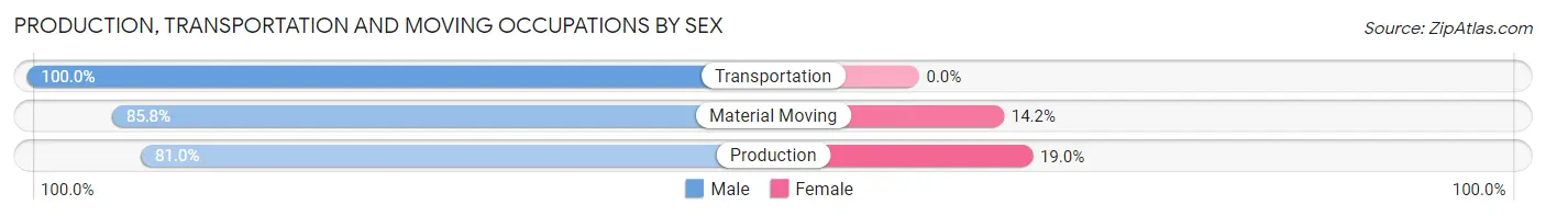 Production, Transportation and Moving Occupations by Sex in Sturgeon Bay