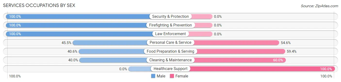 Services Occupations by Sex in Tainter Lake