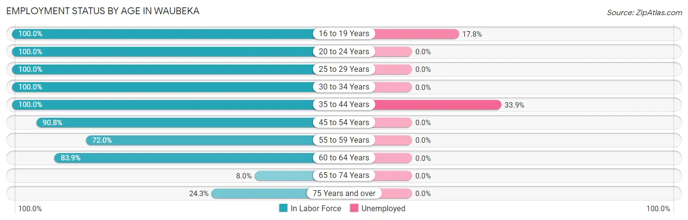 Employment Status by Age in Waubeka