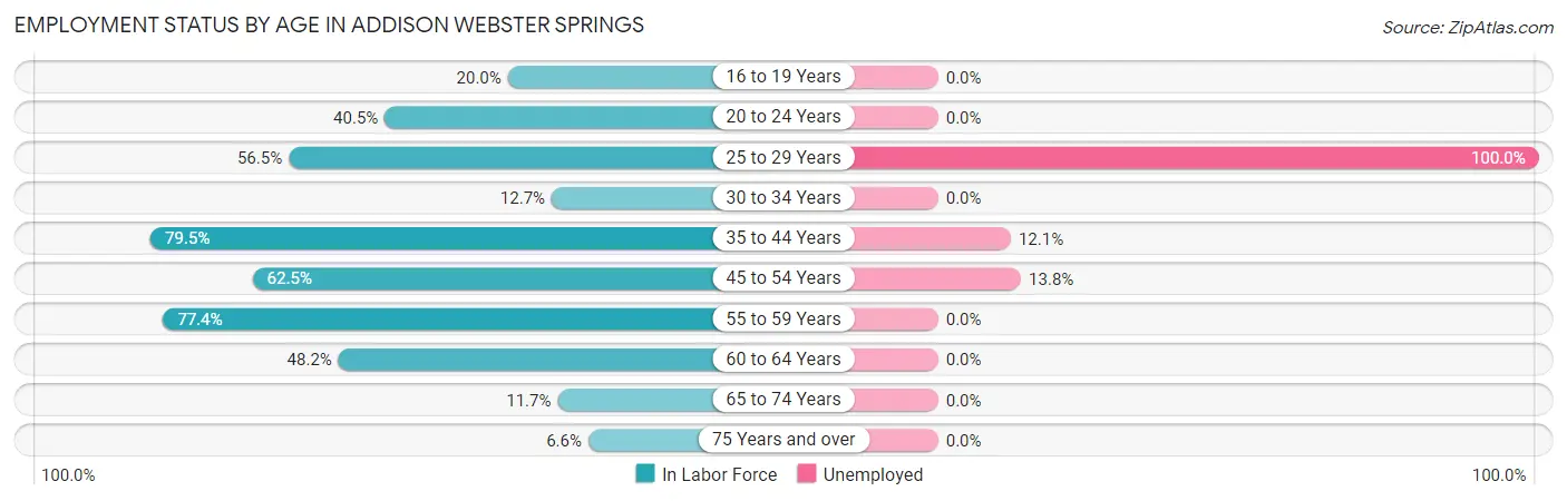 Employment Status by Age in Addison Webster Springs