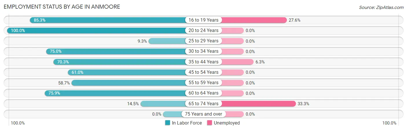 Employment Status by Age in Anmoore