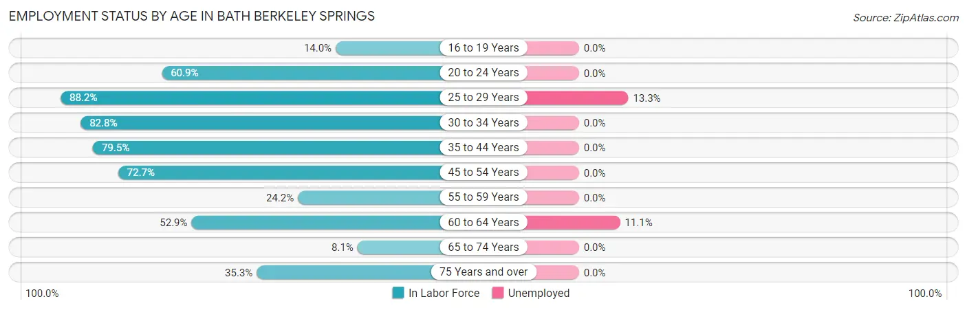 Employment Status by Age in Bath Berkeley Springs