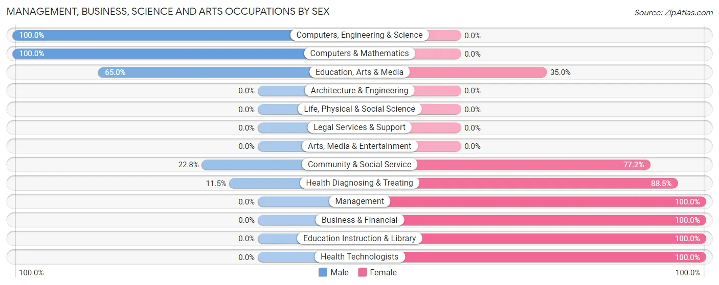 Management, Business, Science and Arts Occupations by Sex in Belington
