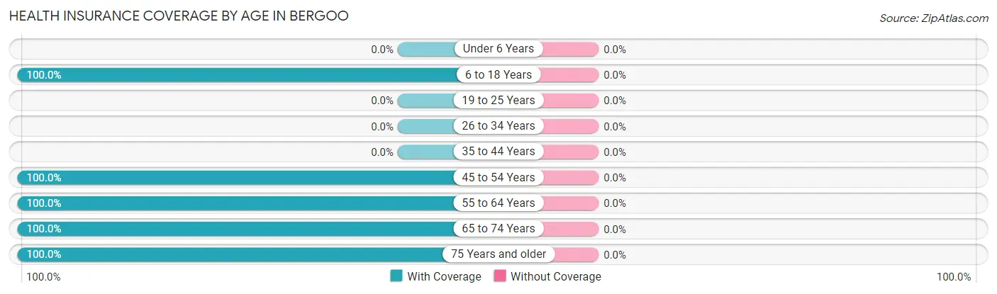 Health Insurance Coverage by Age in Bergoo