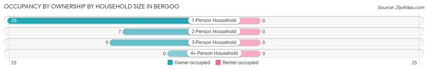 Occupancy by Ownership by Household Size in Bergoo