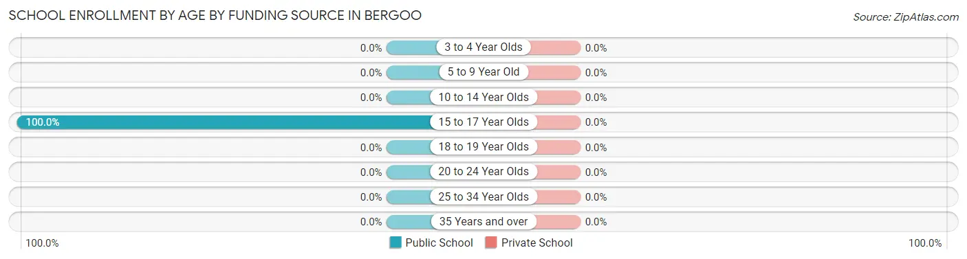 School Enrollment by Age by Funding Source in Bergoo
