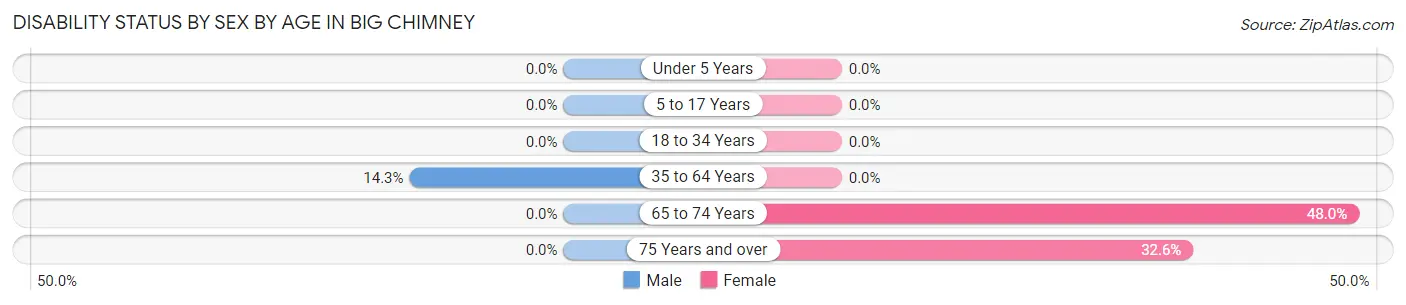 Disability Status by Sex by Age in Big Chimney