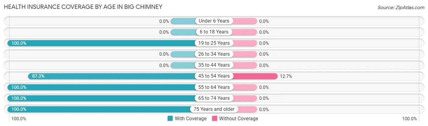 Health Insurance Coverage by Age in Big Chimney