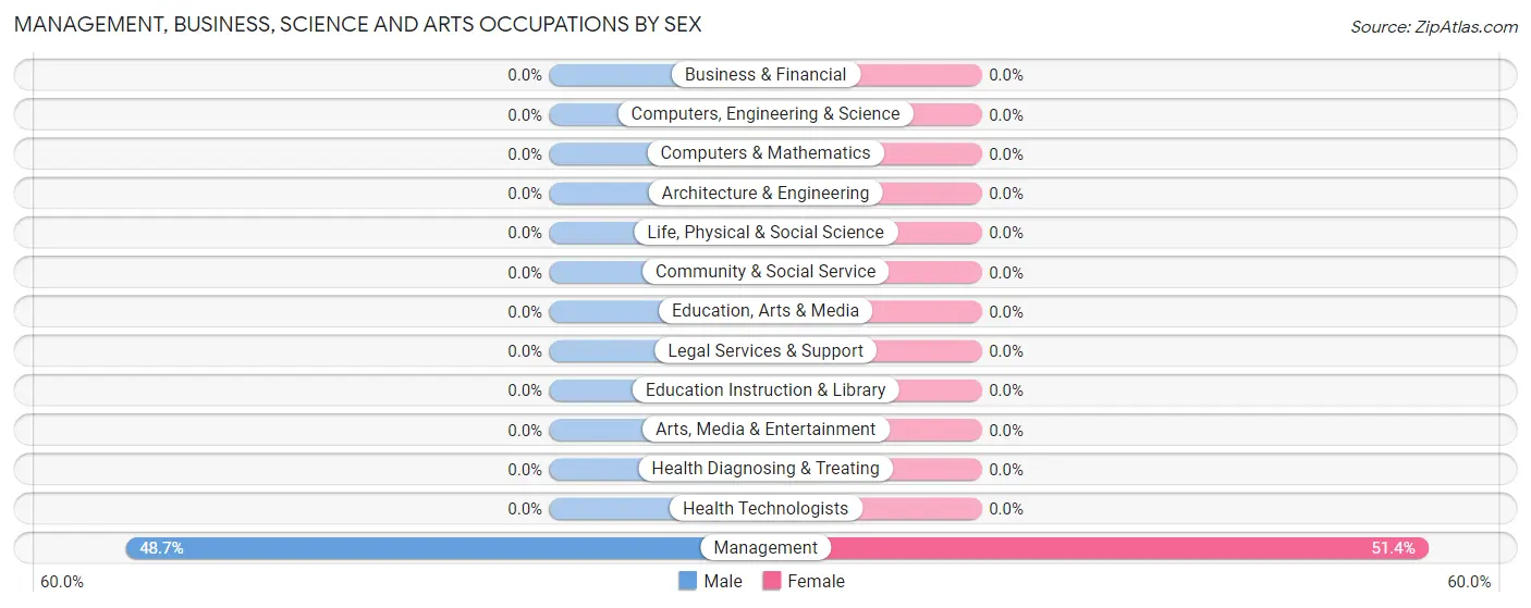 Management, Business, Science and Arts Occupations by Sex in Big Chimney