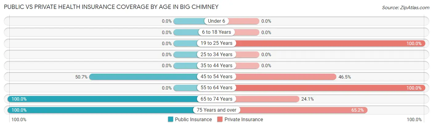 Public vs Private Health Insurance Coverage by Age in Big Chimney
