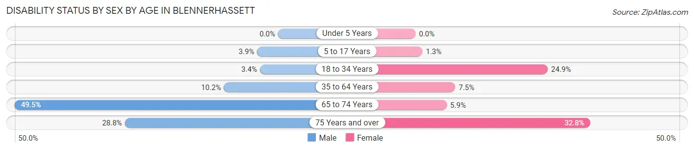 Disability Status by Sex by Age in Blennerhassett