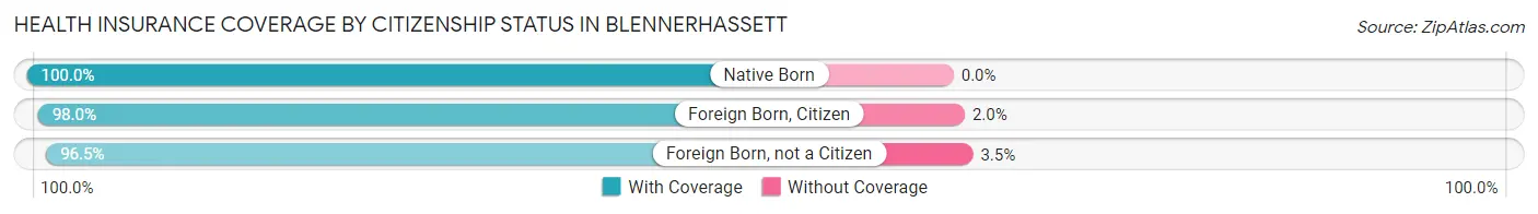 Health Insurance Coverage by Citizenship Status in Blennerhassett