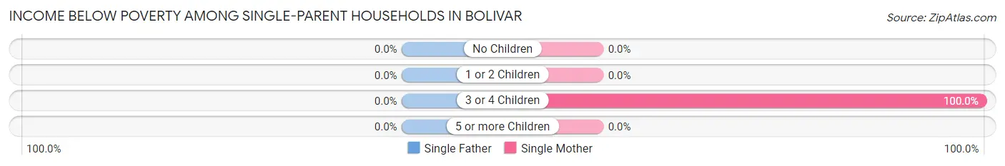 Income Below Poverty Among Single-Parent Households in Bolivar