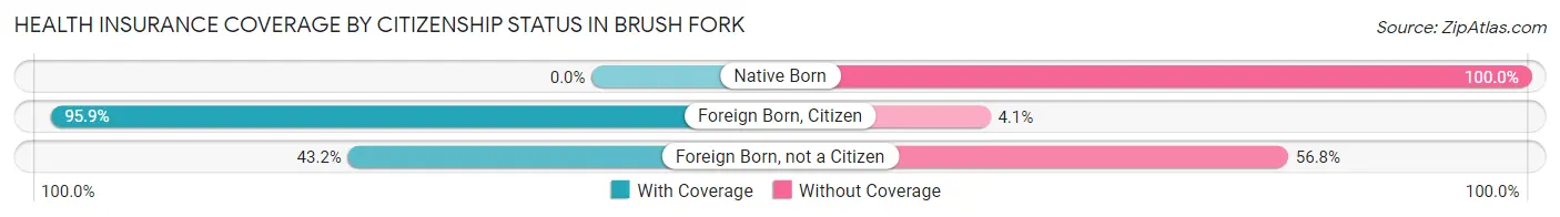 Health Insurance Coverage by Citizenship Status in Brush Fork
