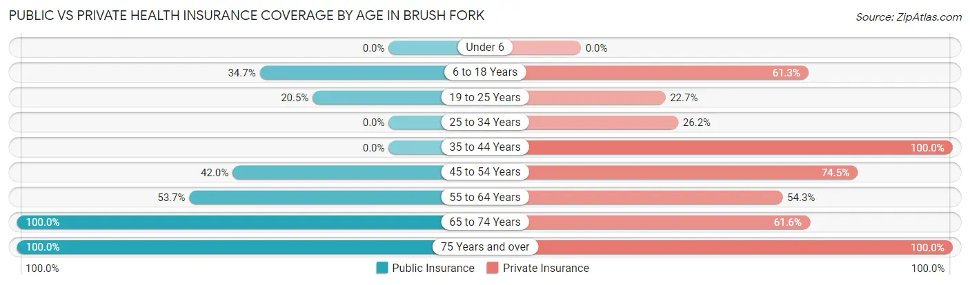 Public vs Private Health Insurance Coverage by Age in Brush Fork