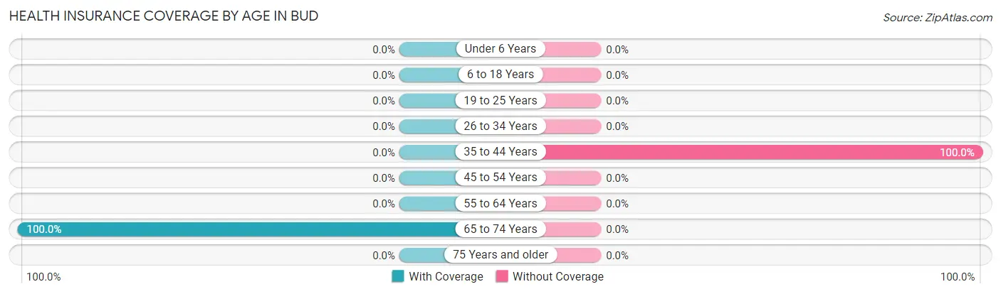 Health Insurance Coverage by Age in Bud