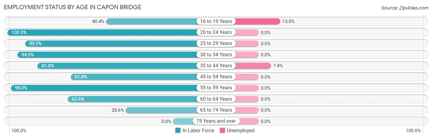 Employment Status by Age in Capon Bridge