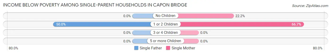 Income Below Poverty Among Single-Parent Households in Capon Bridge