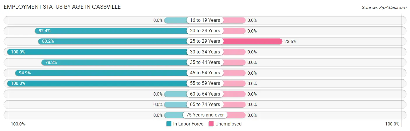 Employment Status by Age in Cassville