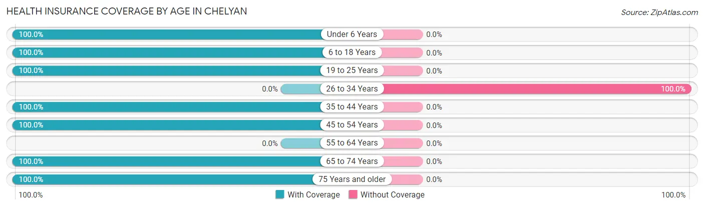 Health Insurance Coverage by Age in Chelyan