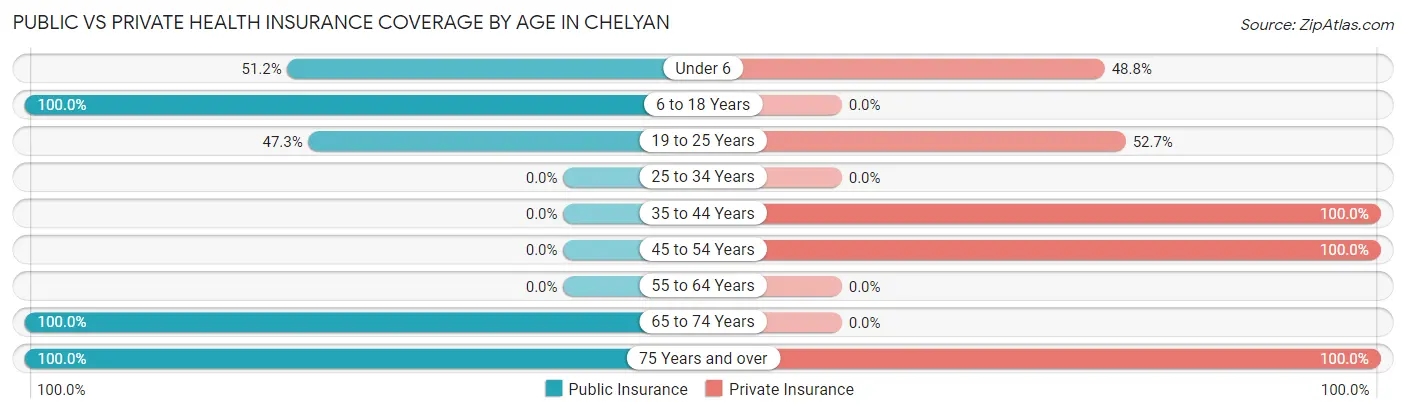 Public vs Private Health Insurance Coverage by Age in Chelyan