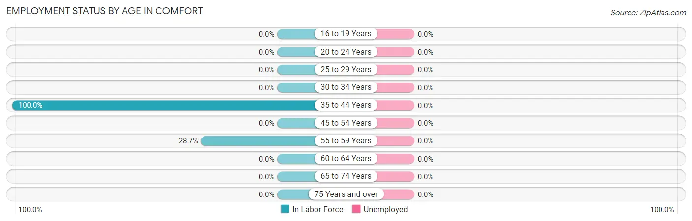 Employment Status by Age in Comfort