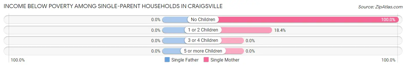 Income Below Poverty Among Single-Parent Households in Craigsville