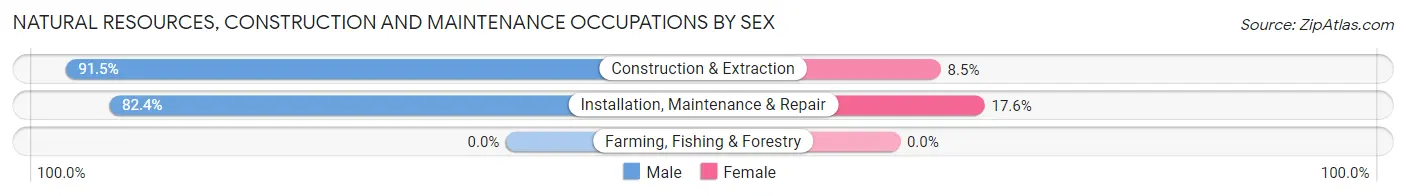Natural Resources, Construction and Maintenance Occupations by Sex in Cross Lanes
