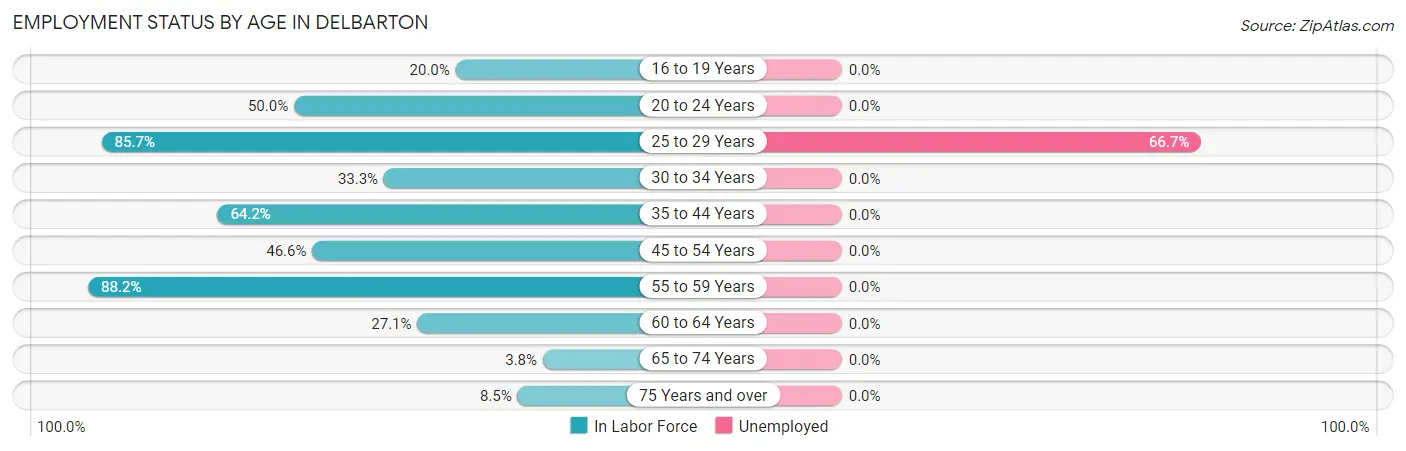 Employment Status by Age in Delbarton