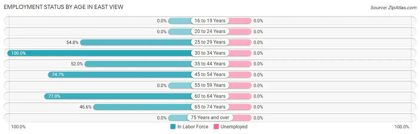 Employment Status by Age in East View
