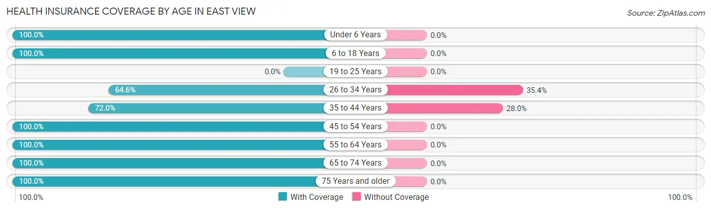 Health Insurance Coverage by Age in East View