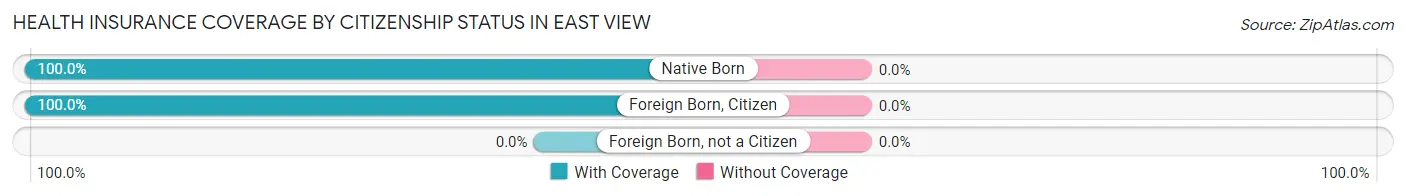 Health Insurance Coverage by Citizenship Status in East View