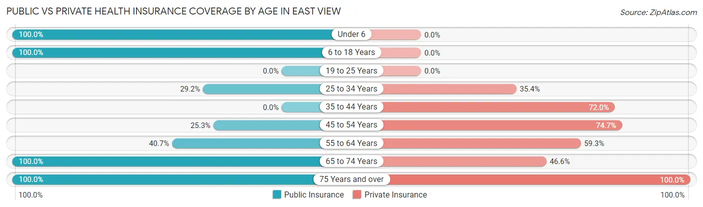 Public vs Private Health Insurance Coverage by Age in East View