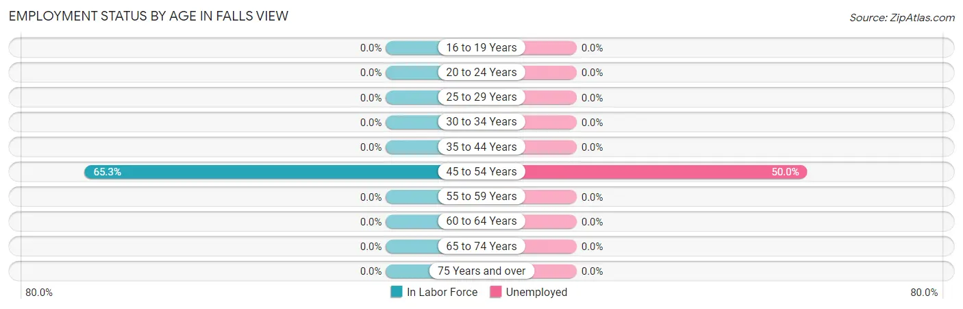 Employment Status by Age in Falls View