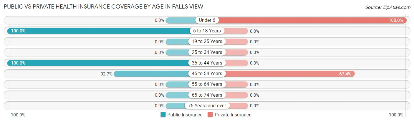 Public vs Private Health Insurance Coverage by Age in Falls View