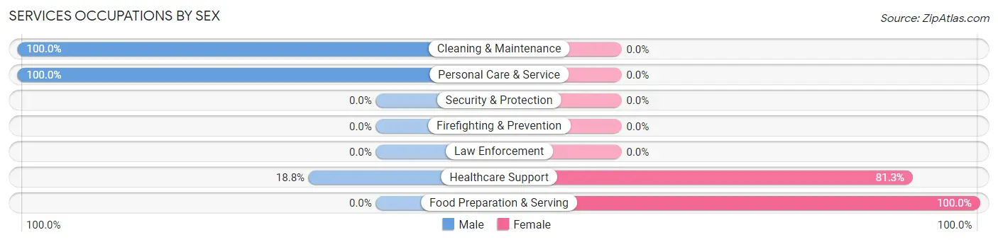 Services Occupations by Sex in Fort Gay