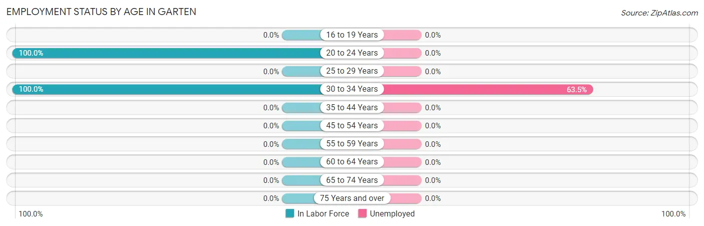 Employment Status by Age in Garten