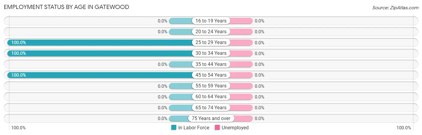 Employment Status by Age in Gatewood
