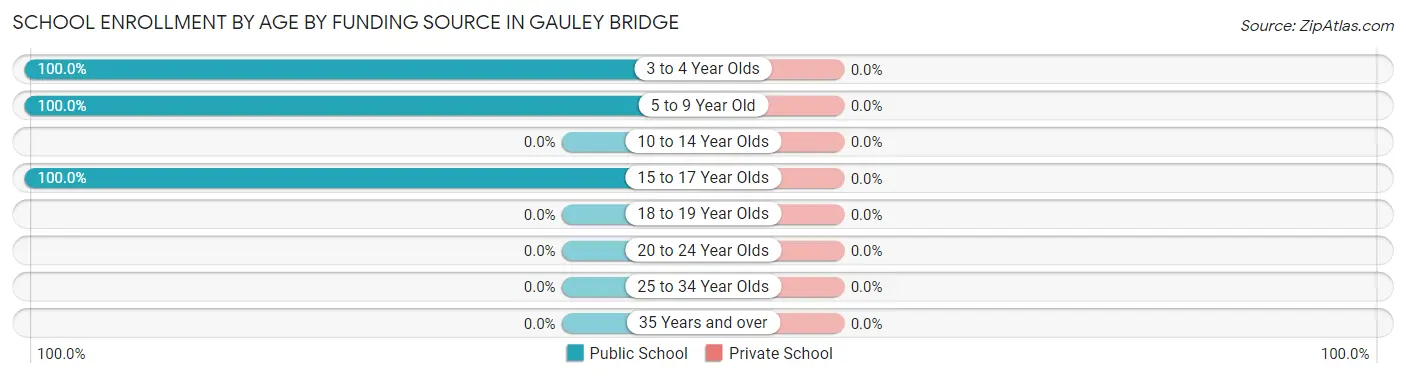 School Enrollment by Age by Funding Source in Gauley Bridge